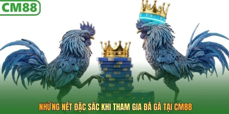 Những nét đặc sắc khi tham gia đá gà tại CM88